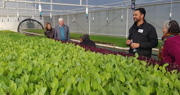 Illustrates the Seedling Project